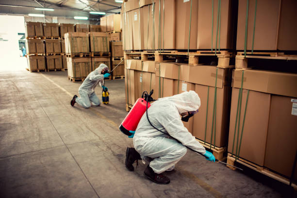 Wasp Removal Services in Fresno, TX