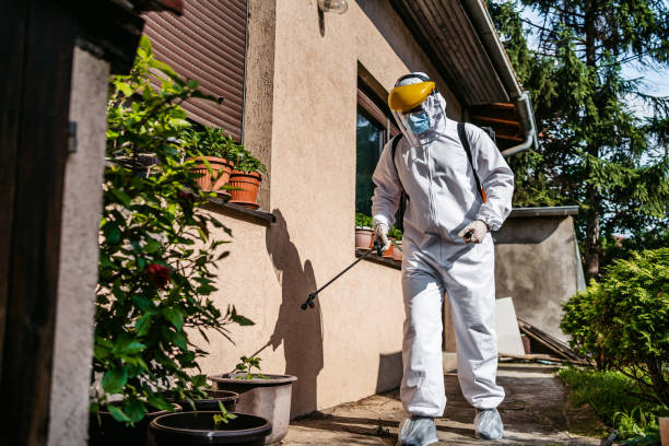 Best Bed Bug Extermination  in Fresno, TX