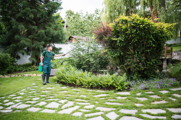 Best Best Pest Control Companies  in Fresno, TX