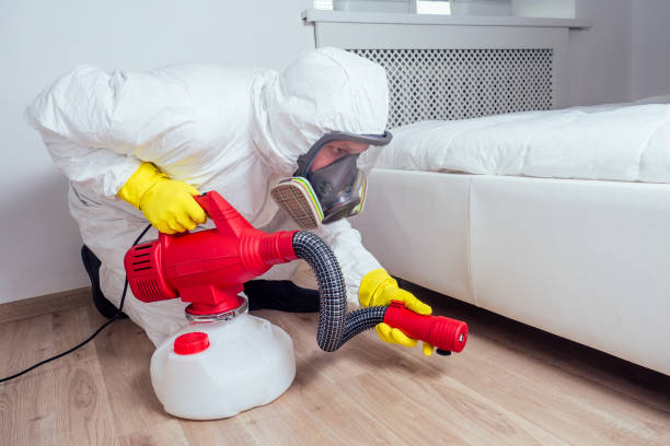 Best Flea Control Services  in Fresno, TX