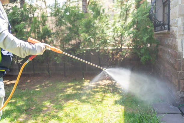 Best Pest Prevention Services  in Fresno, TX