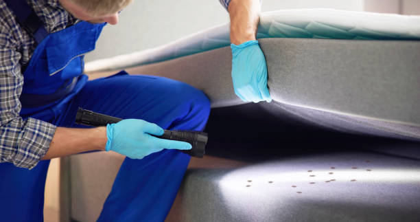 Best Pest Control Near Me  in Fresno, TX