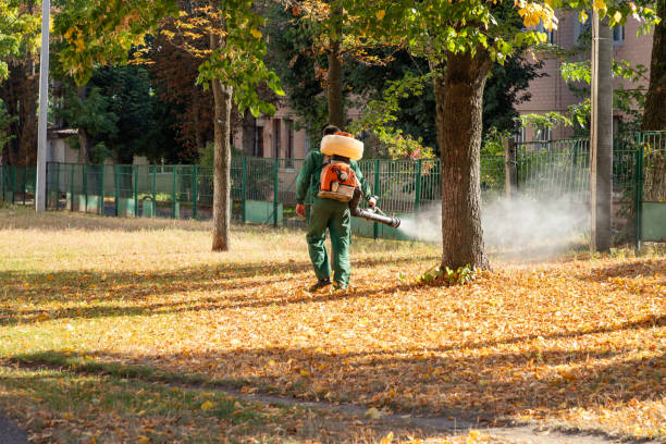 Best Flea Control Services  in Fresno, TX
