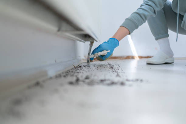 Best Rat Extermination Near Me  in Fresno, TX